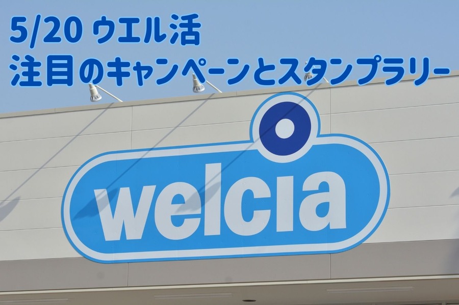 注目のキャンペーン