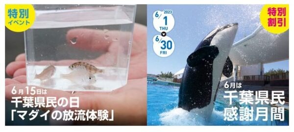 千葉県＆栃木民の日（6/15）割引・無料・イベントのあるレジャー施設10選　詳細と注意点