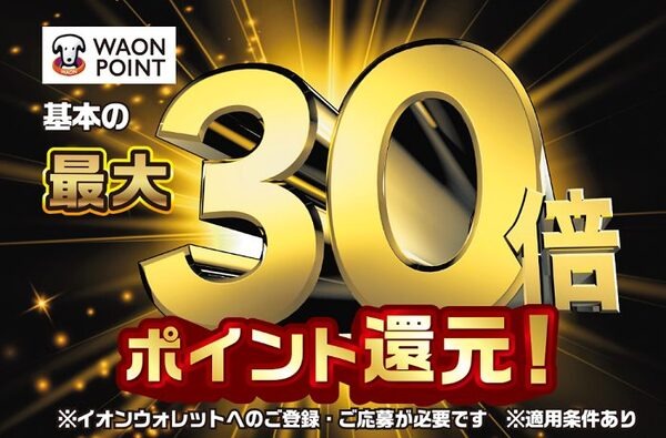 30倍のポイント還元