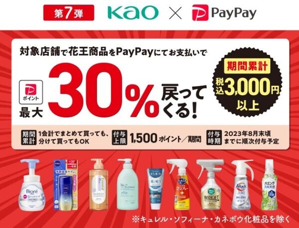 PayPayキャンペーンサイト