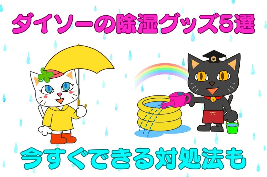 ダイソーの除湿グッズ5選