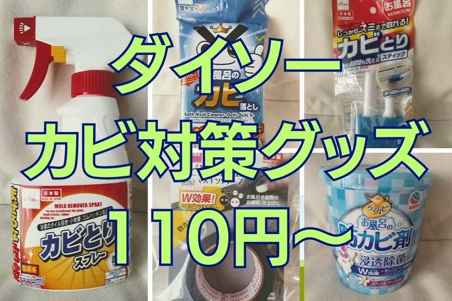 ダイソー カビ対策グッズ 110円～