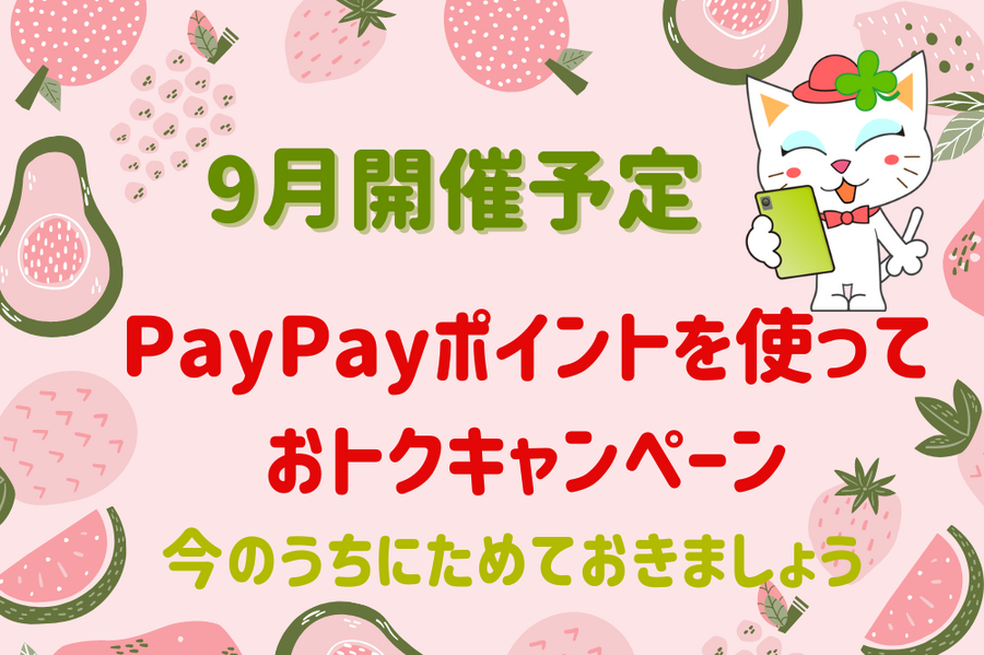 PayPayポイントを使って おトクキャンペーン
