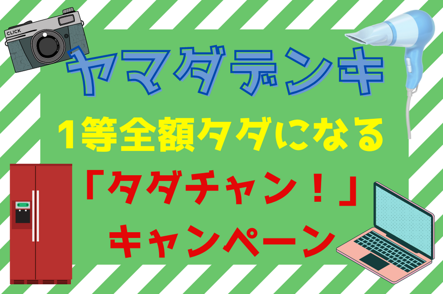 ヤマダデンキ