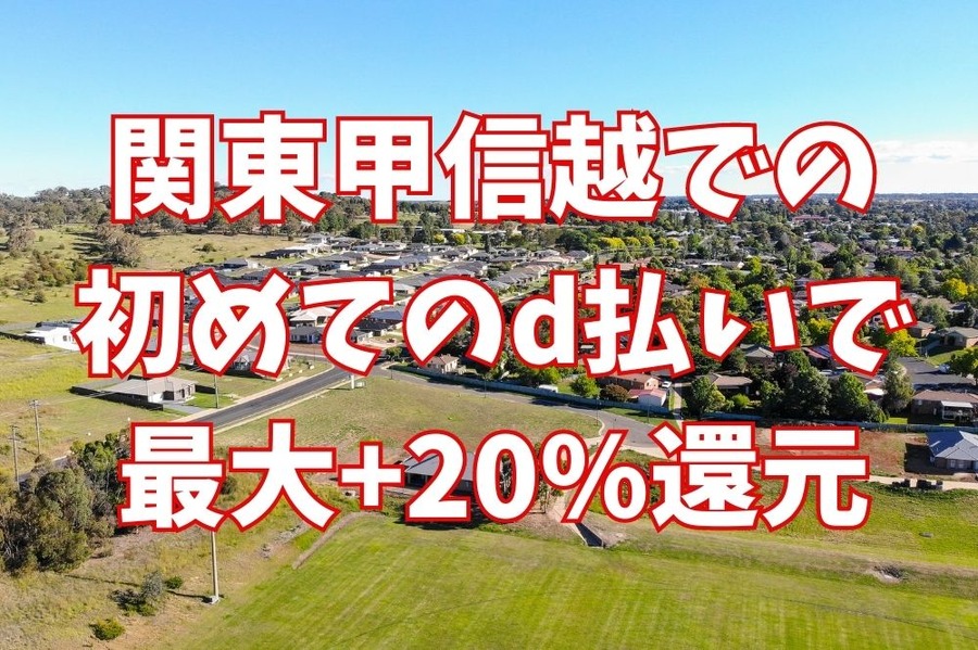 関東甲信越での 初めてのd払いで 最大+20%還元