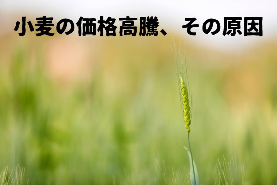 小麦価格高騰