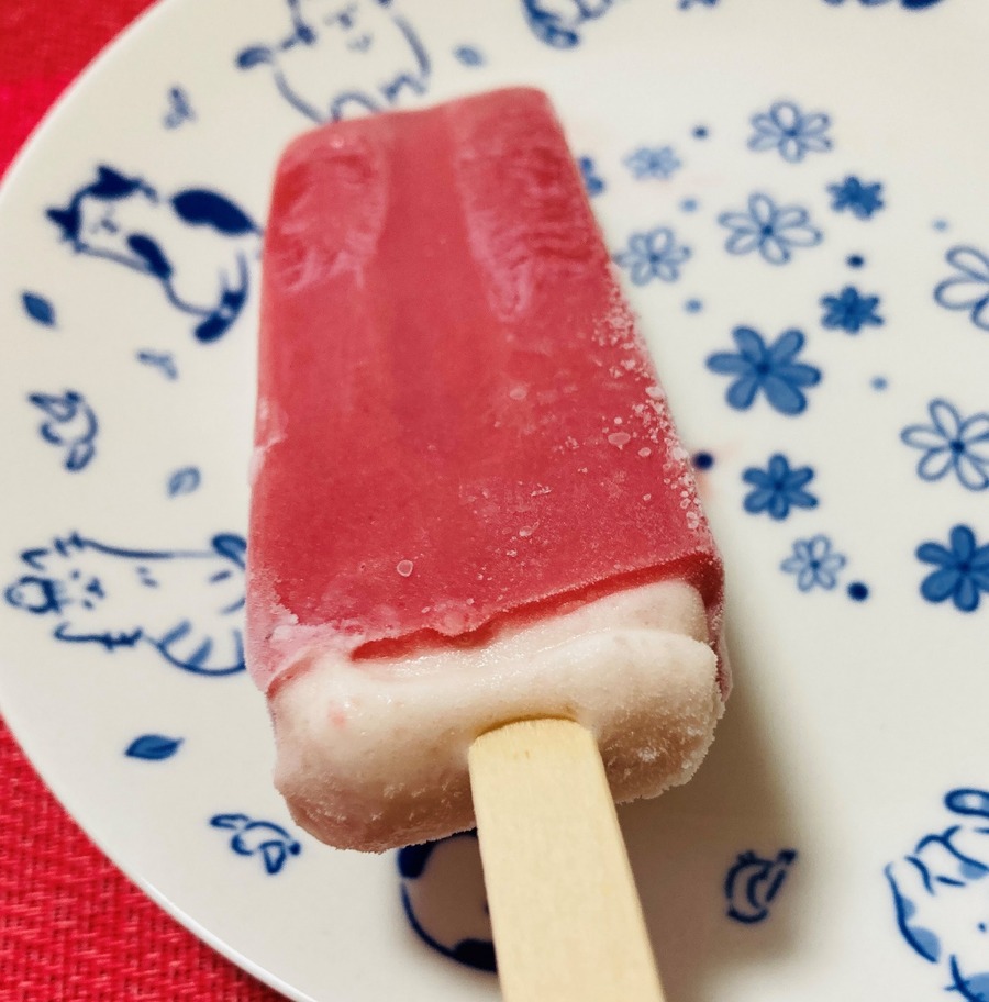 スリムなサイズ感なので一人暮らしの小さな冷蔵庫にも良し