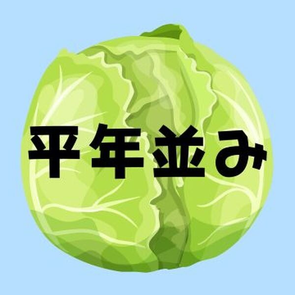 キャベツ