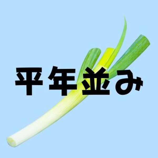 長ネギ