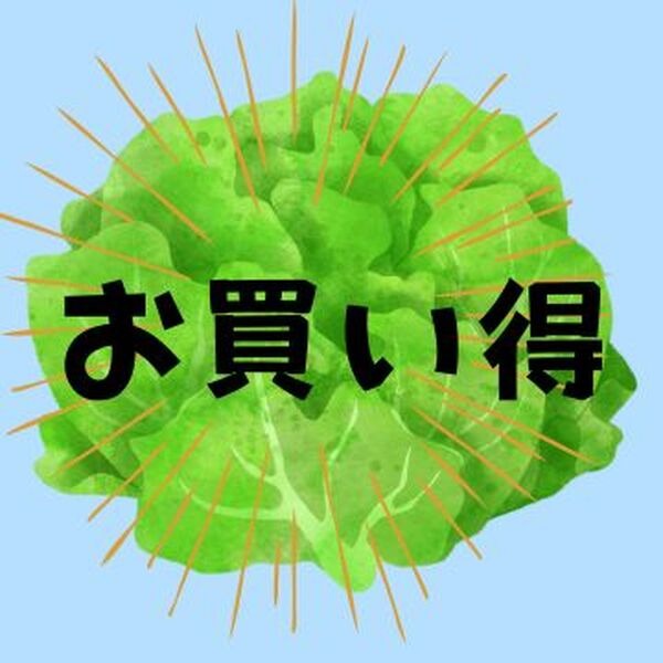 レタス