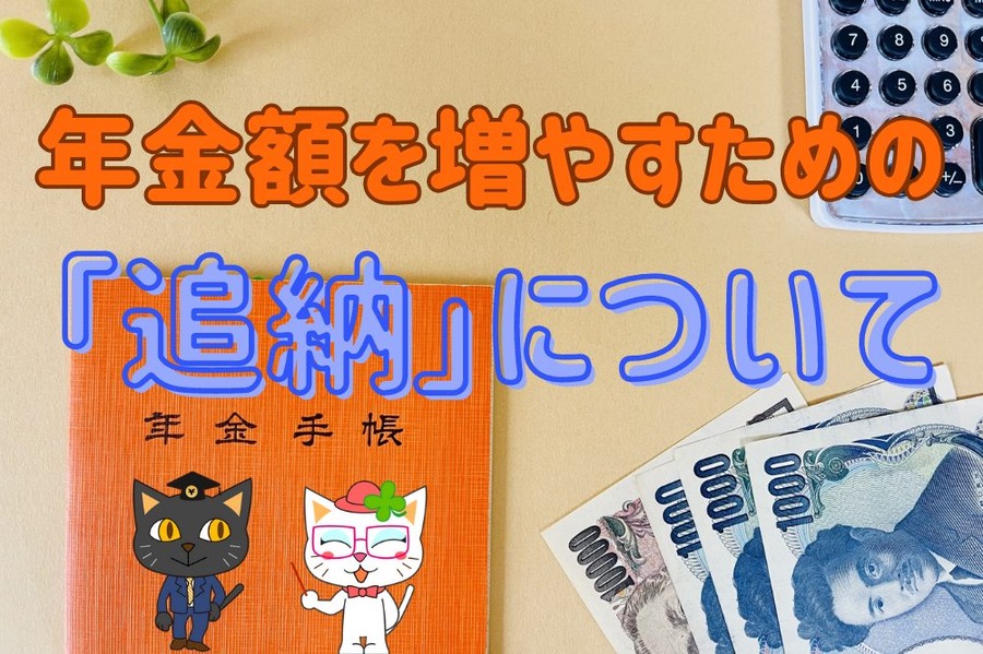年金額を増やすための追納について