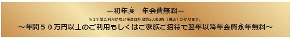 年会費永年無料も可能