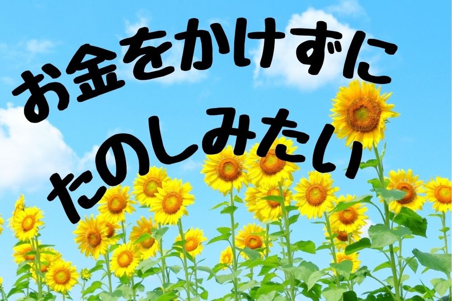 お金をかけずに夏のレジャーを楽しむ方法