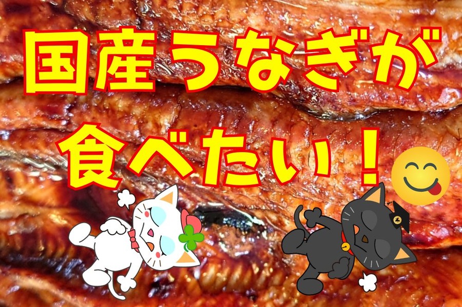 国産うなぎが食べたい！