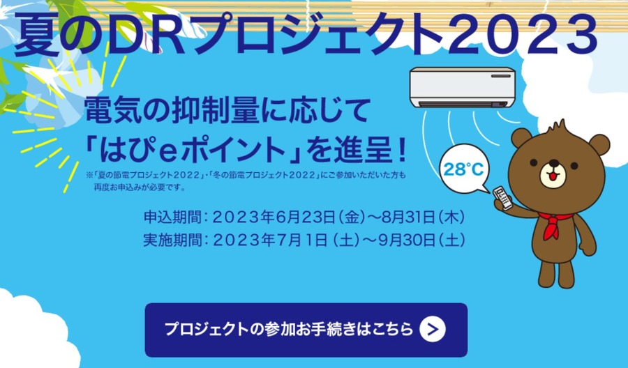 夏のDRプロジェクト2023