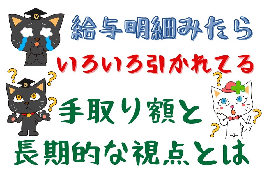給与明細手取り額と長期的な視点とは