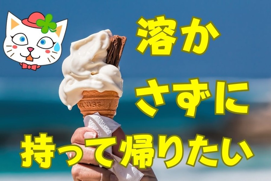 溶かさずに持って帰りたい