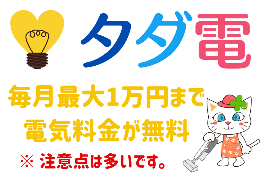 タダ電