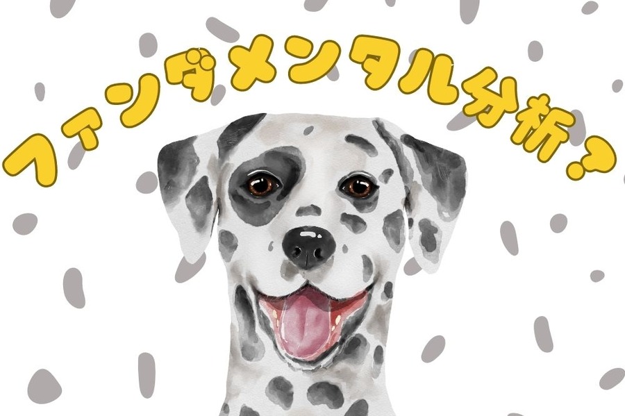 ファンダメンタル分析