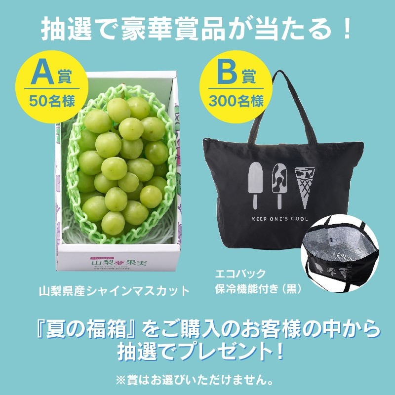 【通販】第2弾！夏の福箱 アイス・冷食セット 13種22個 送料込み