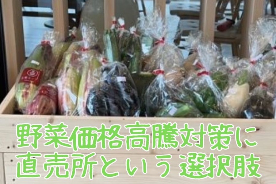 野菜価格高騰対策