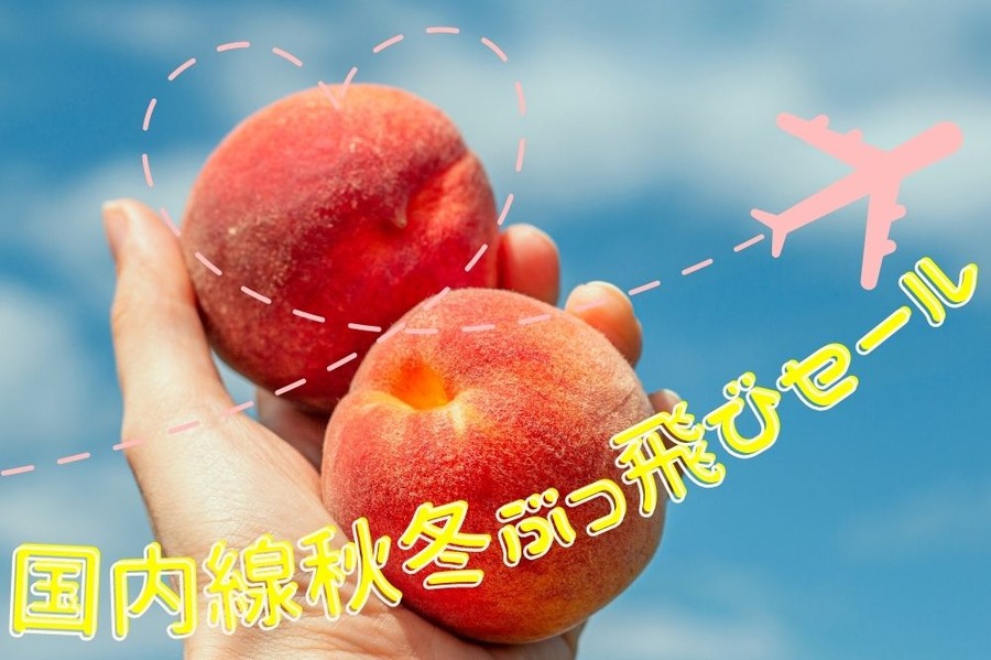 国内線秋冬ぶっ飛びセール