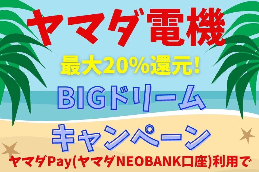 BIGドリームキャンペーン