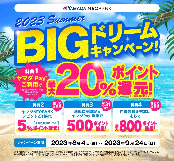 BIGドリームキャンペーン概要