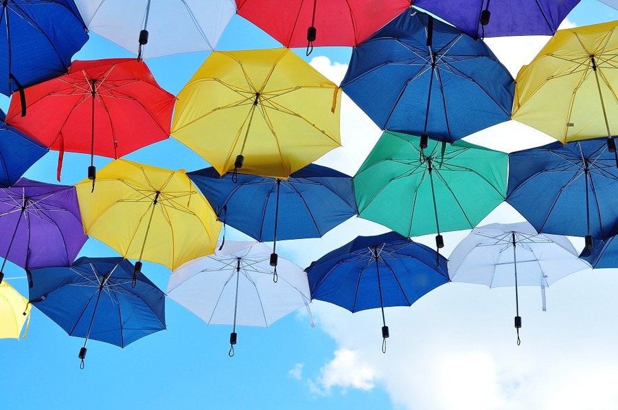 暴風雨にも負けない丈夫な傘がぞくぞく登場　私の「一生モノ」になる傘はどれかしら。