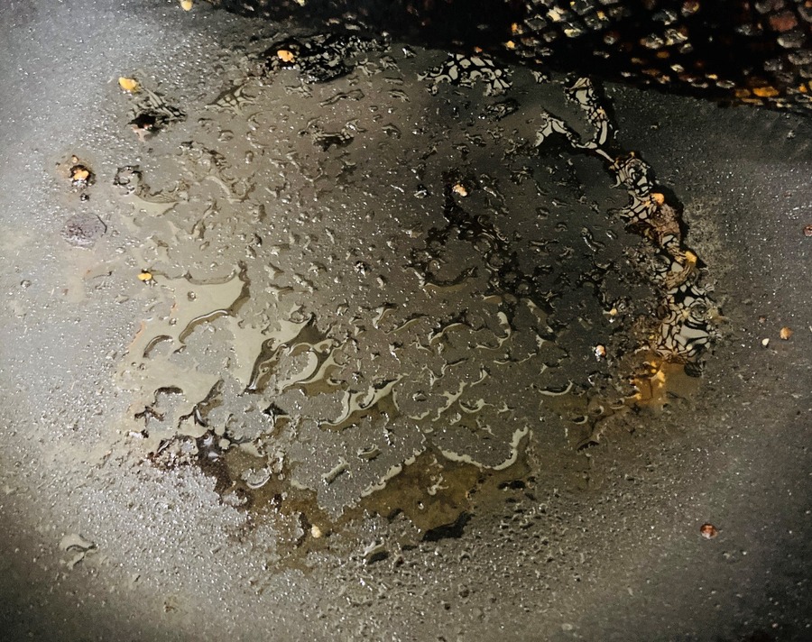 【ニトリ】フライパンを長持ちさせたい＆ダイエットしたい方必見！フライパン用焼き物メッシュシート599円を徹底検証