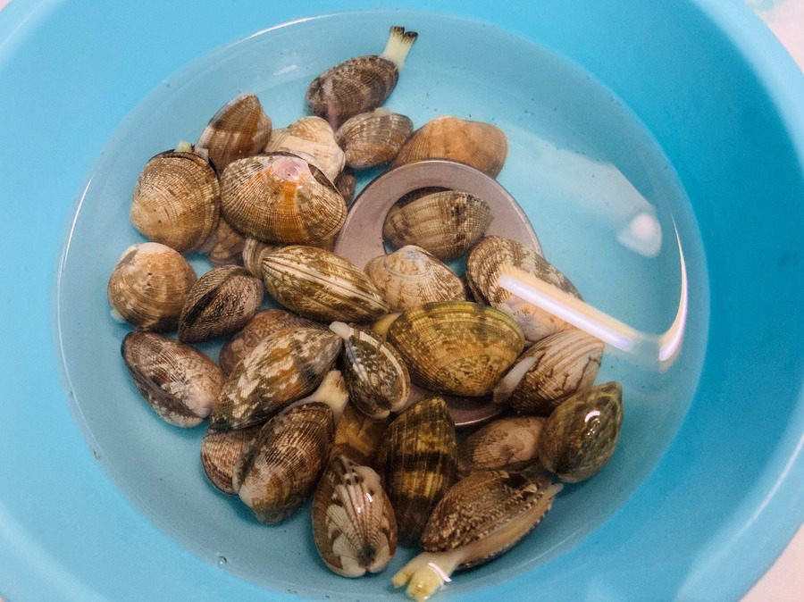 鉄分補給をもっと気軽にデコホームのFeサプリ「鉄製プレート」の基本的な使い方や注意点！【キッチンツール検証】