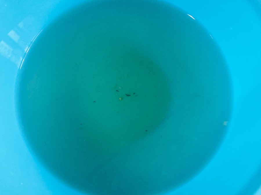 ナスのアクや表面の汚れが浮き出ていました