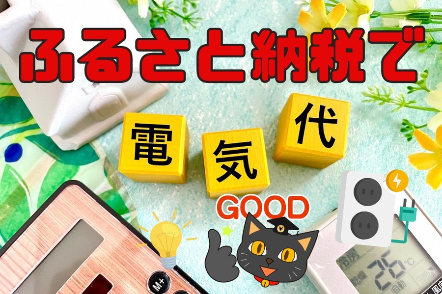 ふるさと納税で電気代をまかなう
