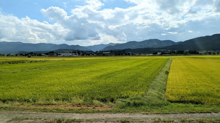 夏の終わりの田園風景が美しかった