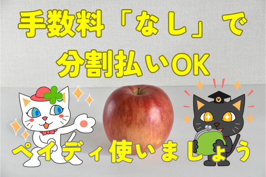 手数料「なし」で 分割払いOK