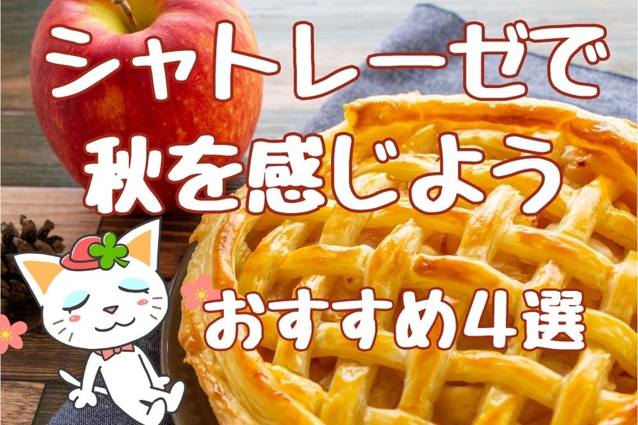 108円～399円で本格派！ シャトレーゼでおすすめ「秋を感じる」スイーツ4選