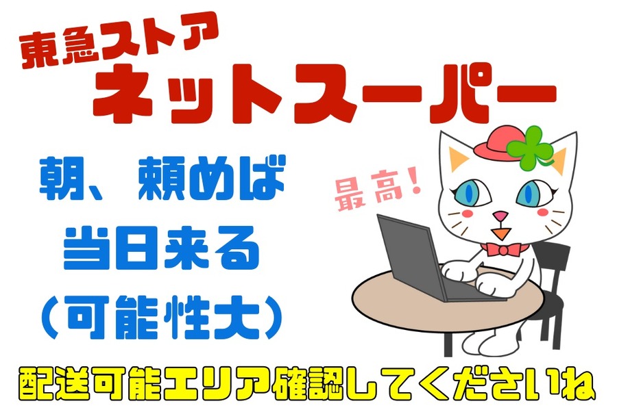 東急ストアネットスーパー