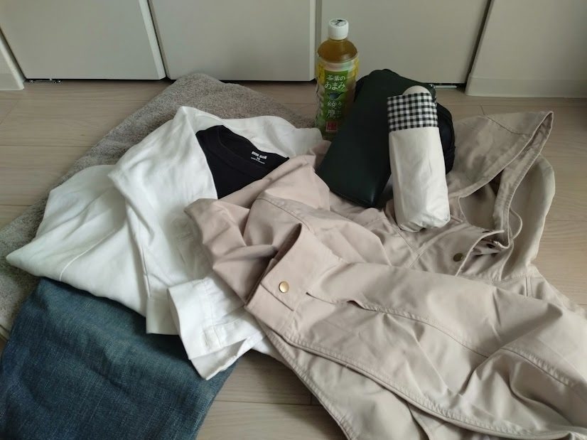 これだけ入りました