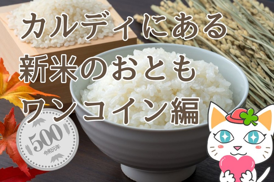 カルディにある 新米のおとも ワンコイン編