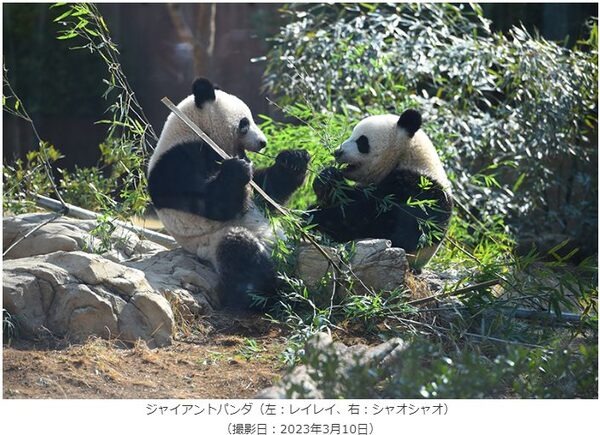 恩賜上野動物公園