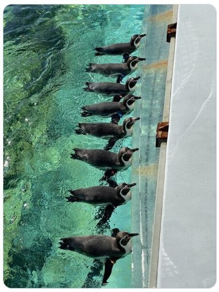 葛西臨海水族園