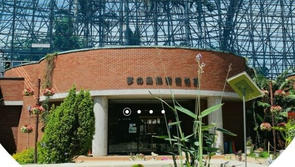 夢の島熱帯植物館