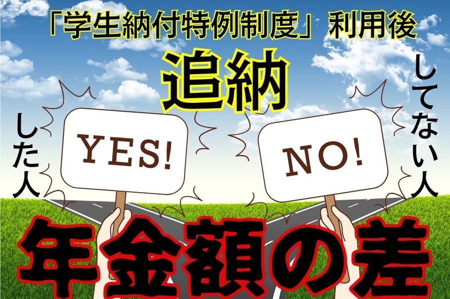 追納するか