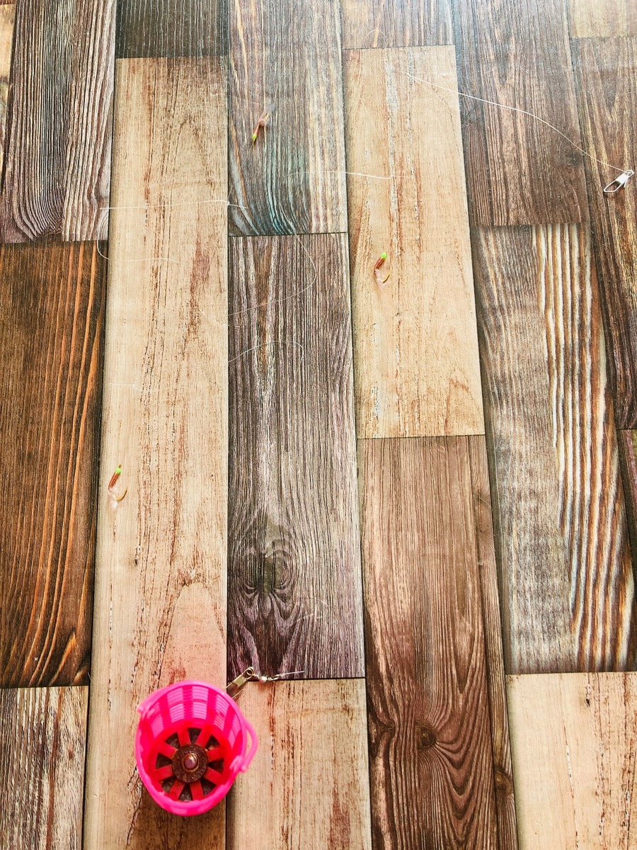 試したことある？「ダイソー」のサビキ仕掛け＆エギで釣りしてみた