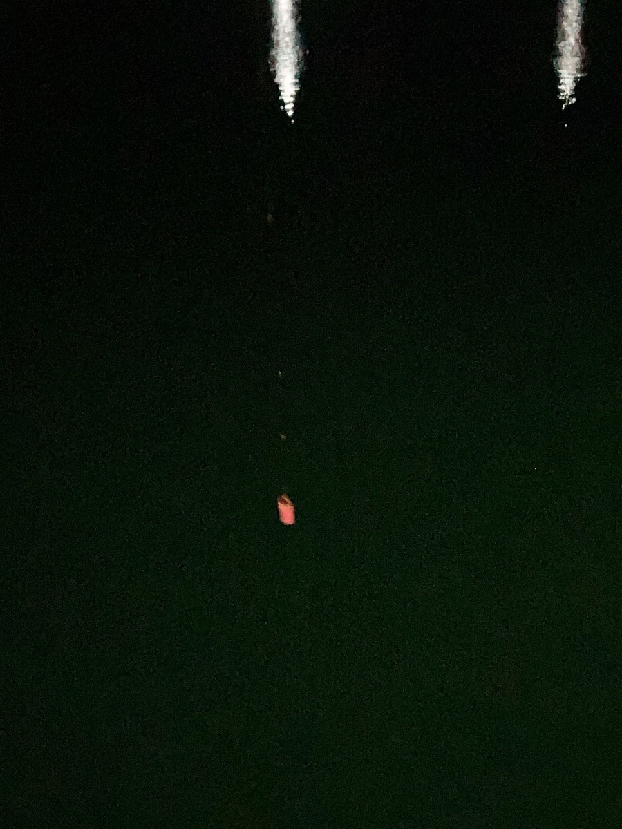 仕掛けを海の中へ沈めていきましょう