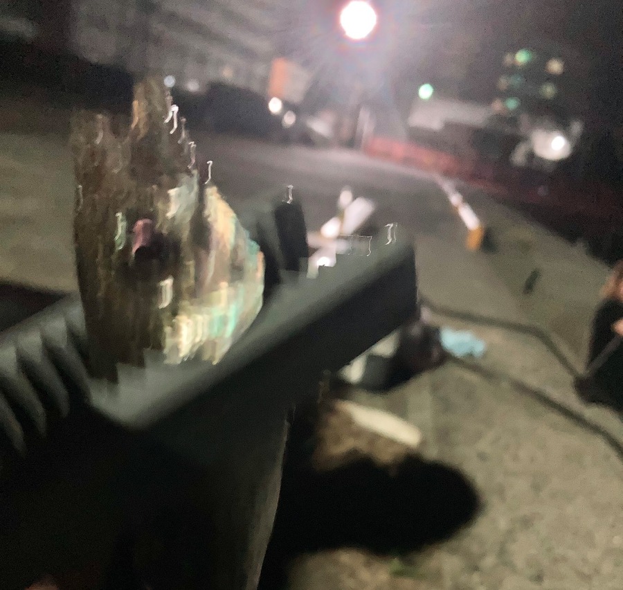 足場の良い堤防で釣るなら7～11月頃がベストシーズン