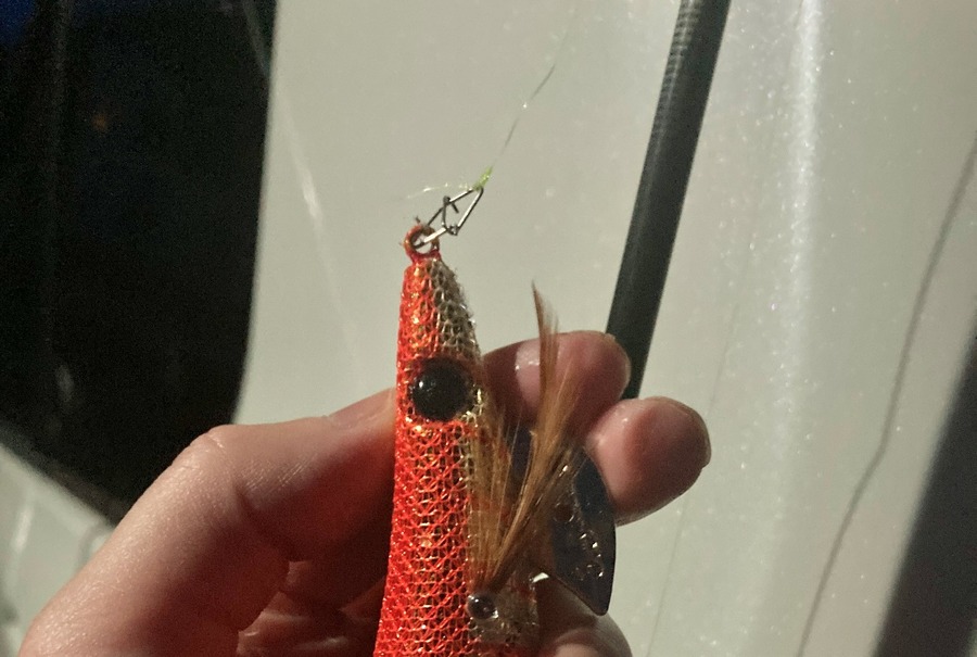 試したことある？「ダイソー」のサビキ仕掛け＆エギで釣りしてみた