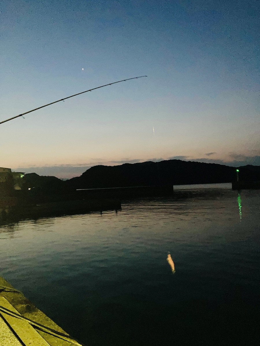 人差し指でラインを押さえてゆっくりと後方にロッドを振りかざします