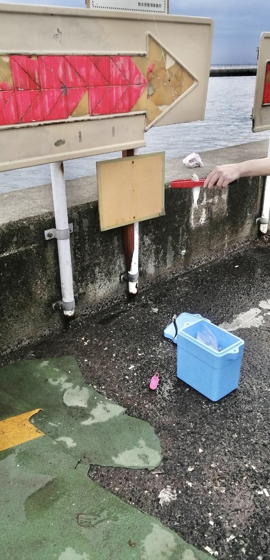 6本の針がついているため、短時間で効率良く釣ることが可能