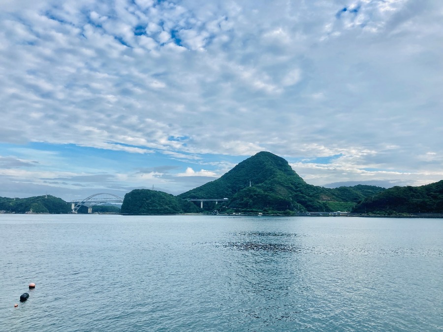 エギングリベンジの釣果は残念ながら0杯